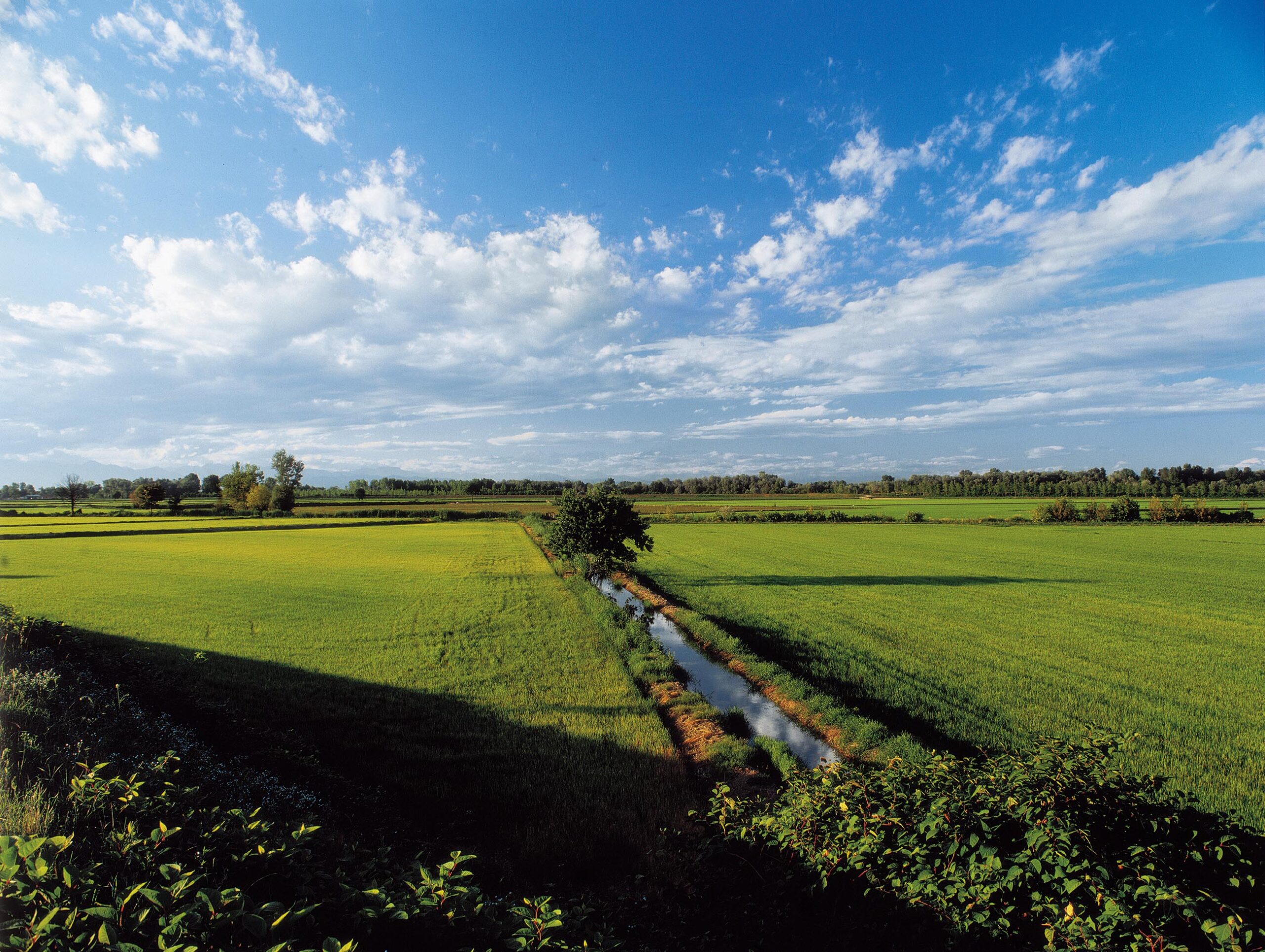 RISAIE- credits ATL terre dell’alto piemonte